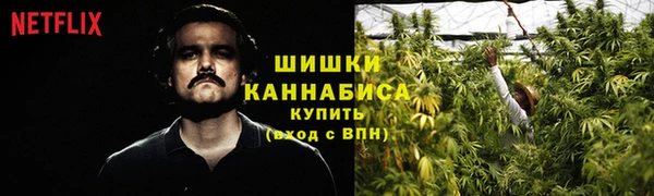гидра Струнино