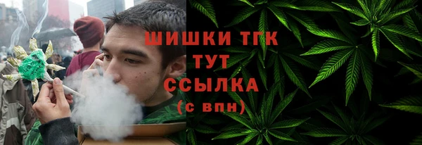 сатива Ступино
