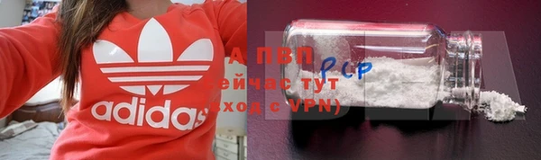 гидра Струнино
