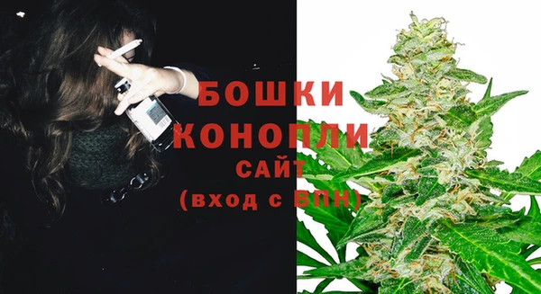 сатива Ступино