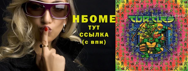 гидра Струнино
