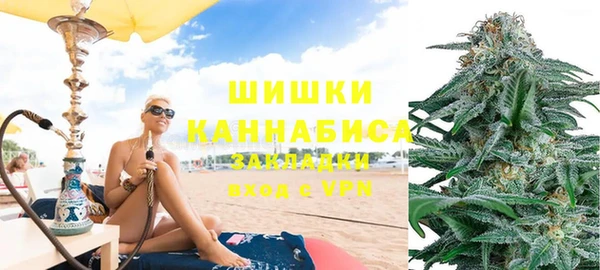 сатива Ступино