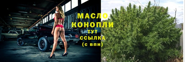 сатива Ступино