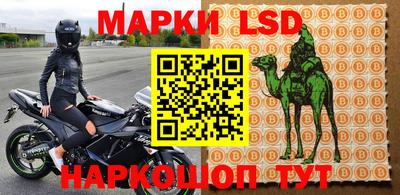 apvp Кингисепп
