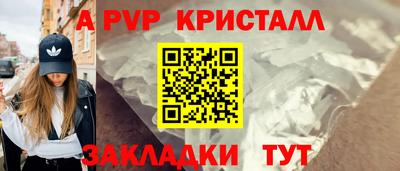 apvp Кингисепп