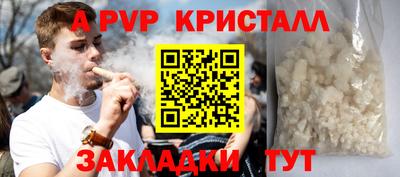 apvp Кингисепп