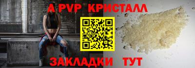 apvp Кингисепп