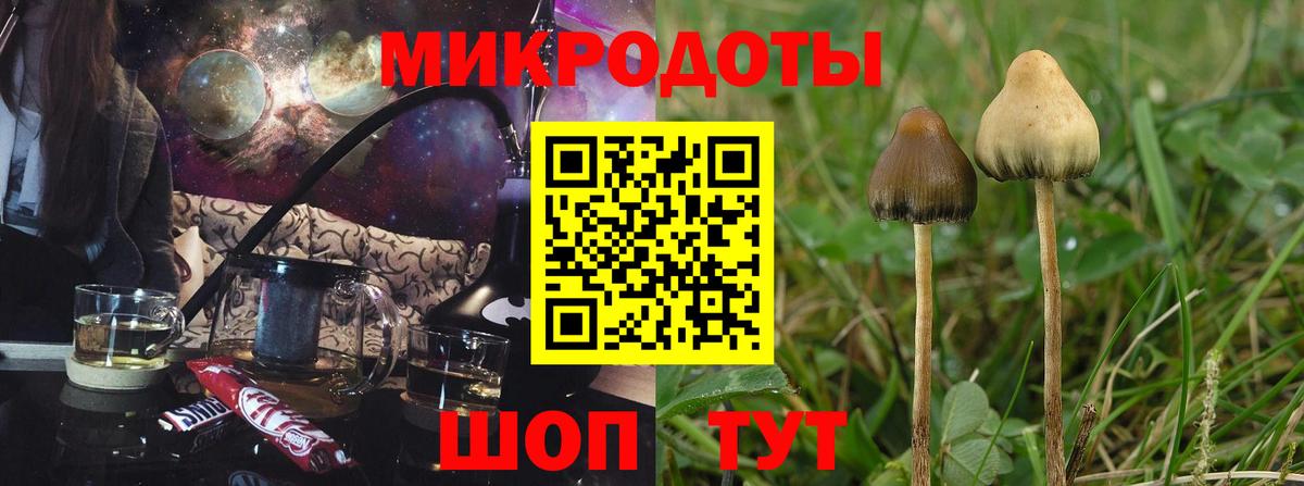 Галлюциногенные грибы GOLDEN TEACHER Углич